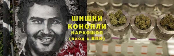 амф Ладушкин