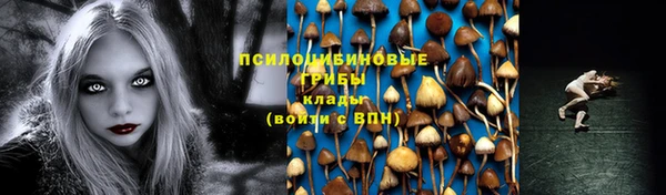 гашик Лагань