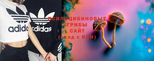 амф Ладушкин