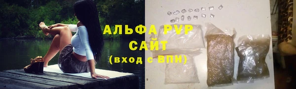амф Ладушкин