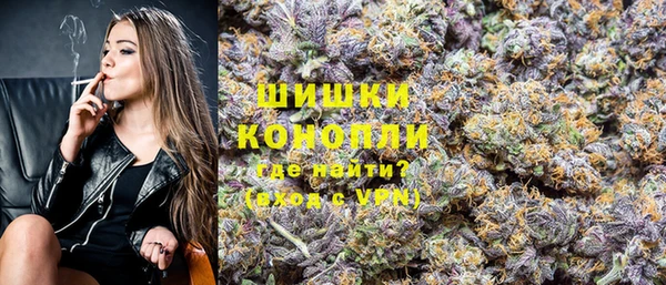 амф Ладушкин