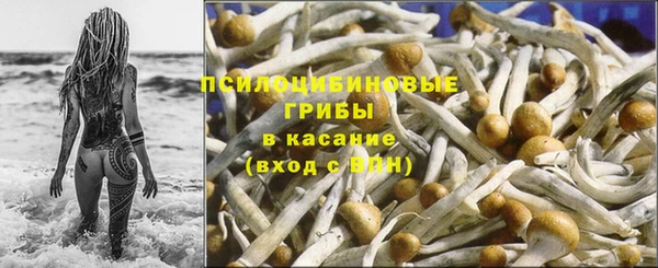 a pvp Бердск