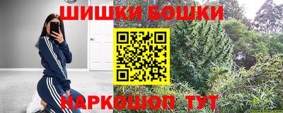 индика Кинель