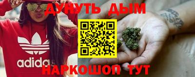 индика Кинель