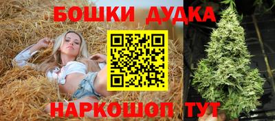 индика Кинель