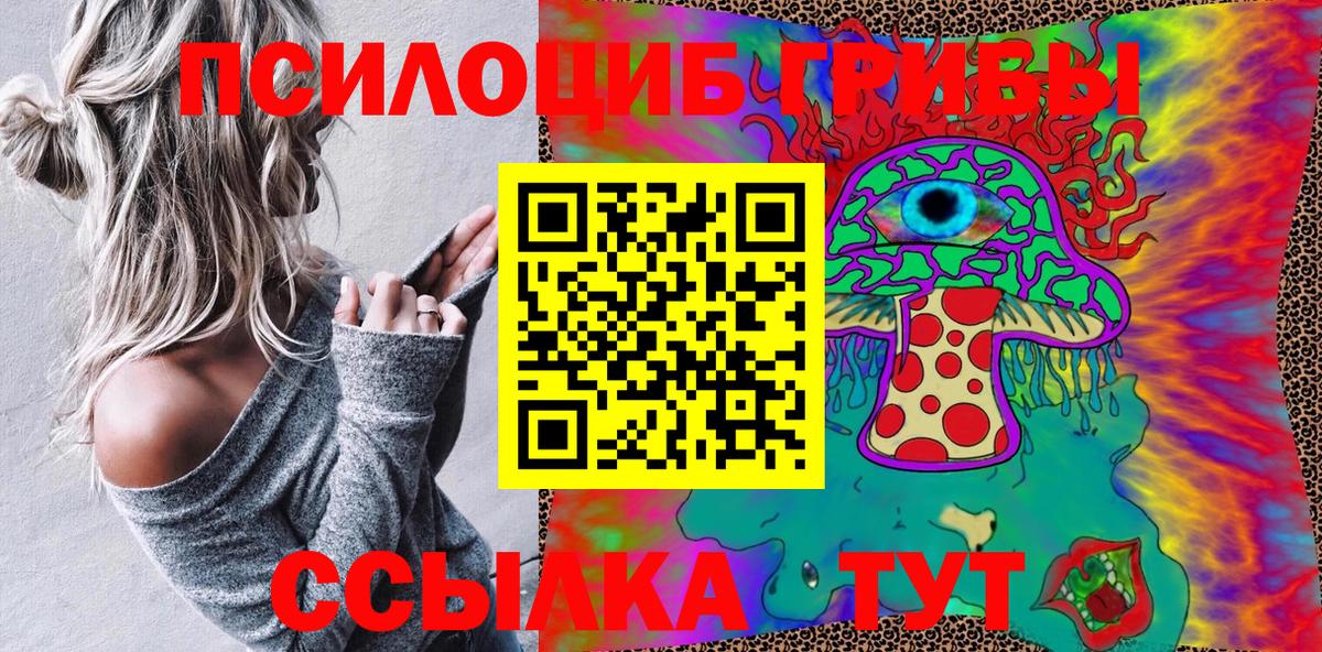 Галлюциногенные грибы Psilocybine cubensis Чебаркуль